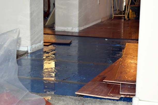 Professional Sewage Cleanup technician working in Harvard, IL